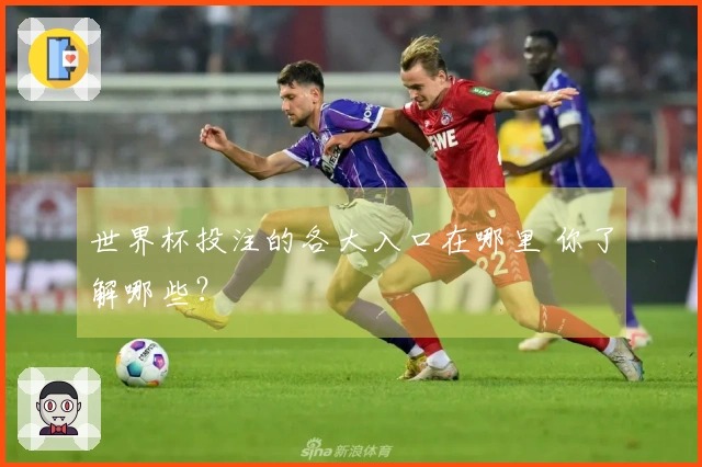 世界杯投注的各大入口在哪里 你了解哪些？