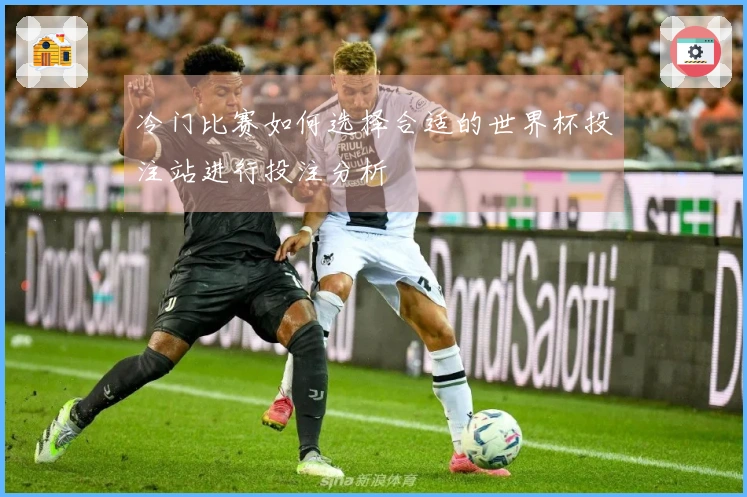 冷门比赛如何选择合适的世界杯投注站进行投注分析