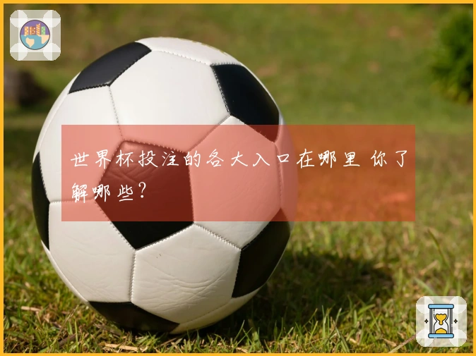 世界杯投注的各大入口在哪里 你了解哪些?