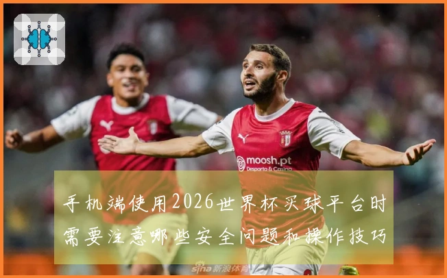 手机端使用2026世界杯买球平台时需要注意哪些安全问题和操作技巧