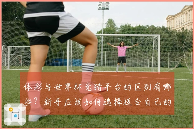 体彩与世界杯竞猜平台的区别有哪些？新手应该如何选择适合自己的投注方式？
