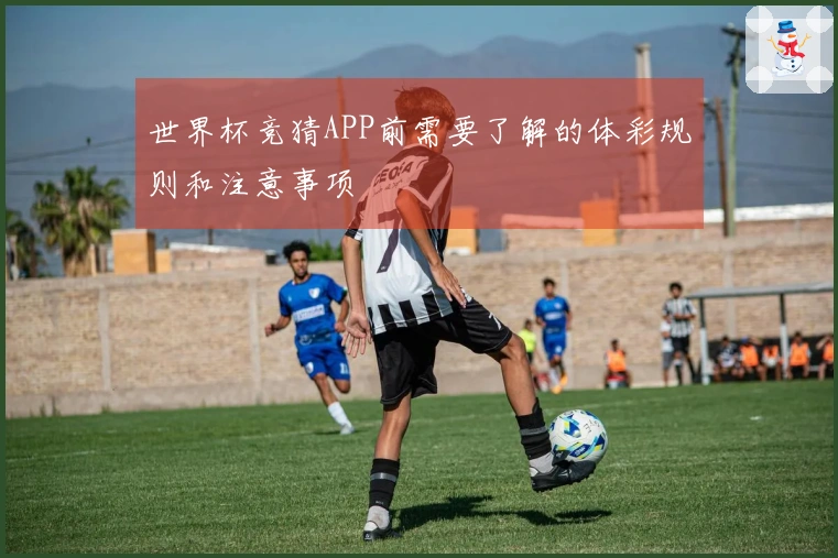 世界杯竞猜APP前需要了解的体彩规则和注意事项