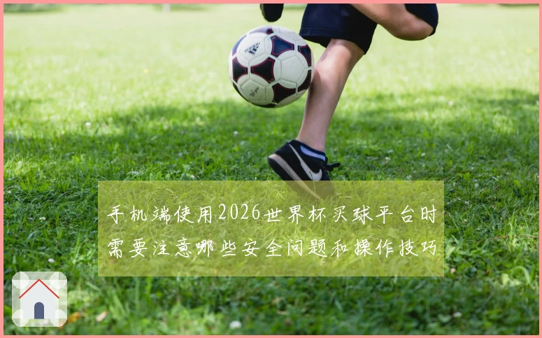 手机端使用2026世界杯买球平台时需要注意哪些安全问题和操作技巧