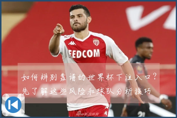 如何辨别靠谱的世界杯下注入口？先了解这些风险和球队分析技巧