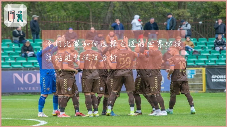 冷门比赛如何选择合适的世界杯投注站进行投注分析